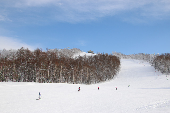 整備されたコースの他、新雪が楽しめると人気の未圧雪コースも8本ある
