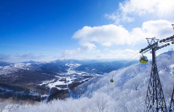 【2024年版】富良野・美瑛・トマムの冬を楽しむ観光スポット8選