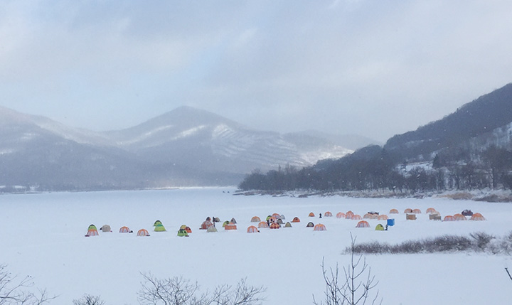 氷上に色とりどりのテントが並ぶとワカサギ釣りのシーズン到来