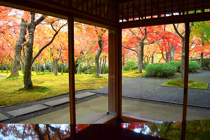 庭園に佇む茶室「真和亭」。季節のお菓子と抹茶をいただける