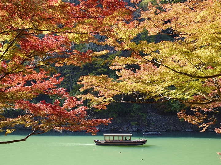 錦秋の奥嵐山で舟遊び