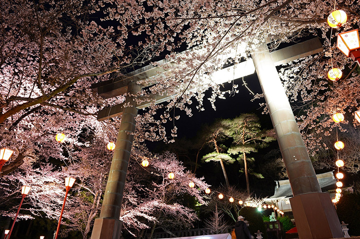 光に映し出された夜桜の美しさと、温泉地として歴史ある鬼怒川の温泉宴会文化を一度に味わえるひととき