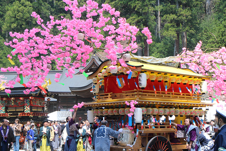 社寺や参道にも映える、栃木県の県花ヤシオツツジのピンク色