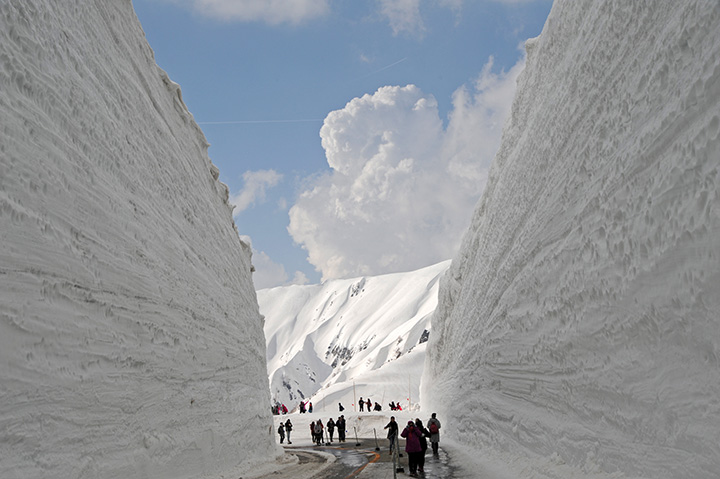 ダイナミックな雪壁が約500m続く。春とはいえ、防寒対策はしっかりと