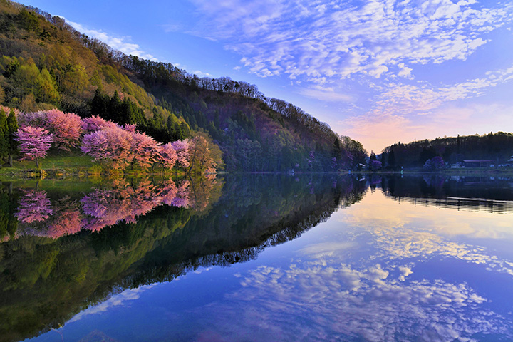 桜のシーズンには早朝から大勢のカメラマンが集う撮影スポットとしても有名