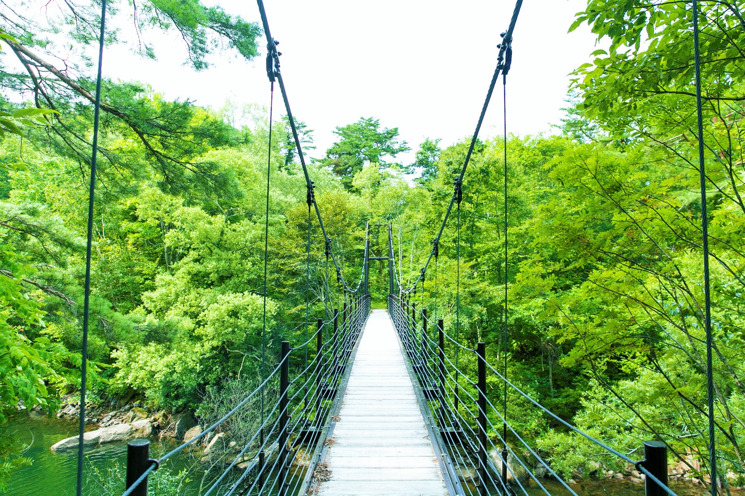 湖畔に整備された｢東北自然歩道｣の吊り橋