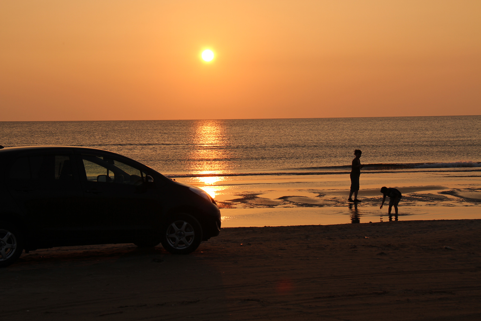時期や時間で変化する様子をゆっくり眺めて