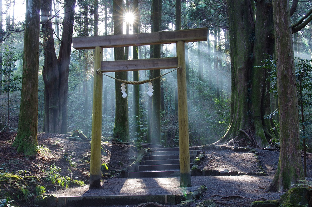 霧島神宮本殿裏手にある杉木立の中に立つ「山神社」はパワースポット
