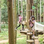 子どもも大人も楽しめる、箱根のおすすめ観光スポット