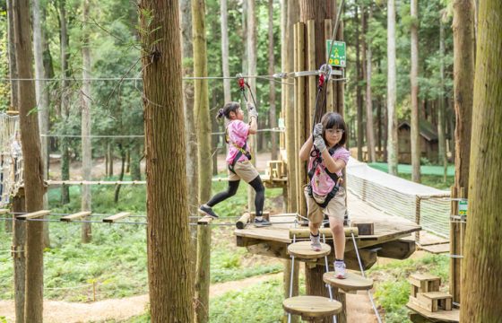 子どもも大人も楽しめる、箱根のおすすめ観光スポット