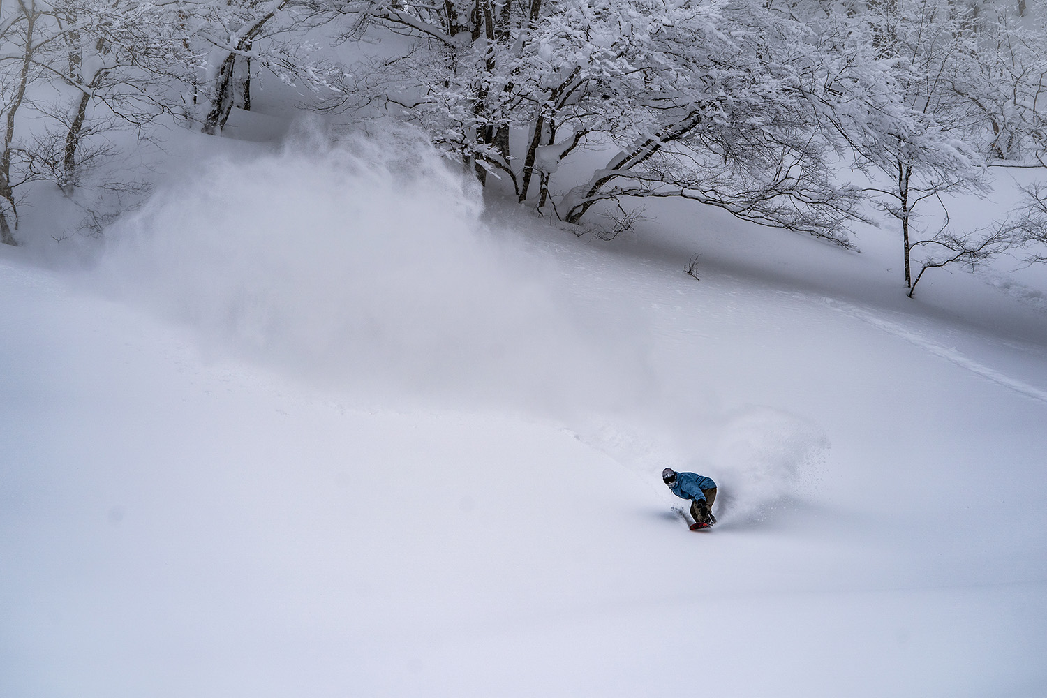 雪が降った時だけリフト運行するパウダー保証コースもあり