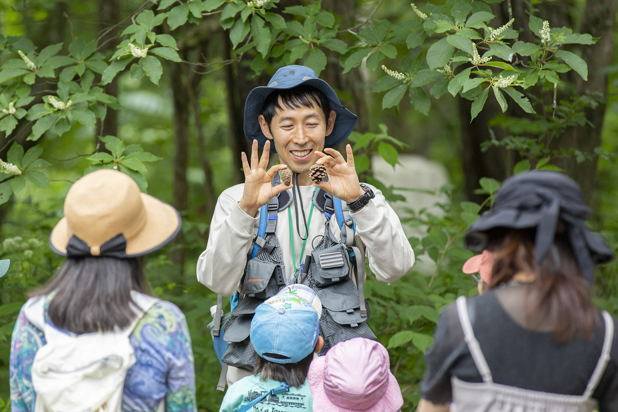 森に関する知識が得られるガイドウォーク