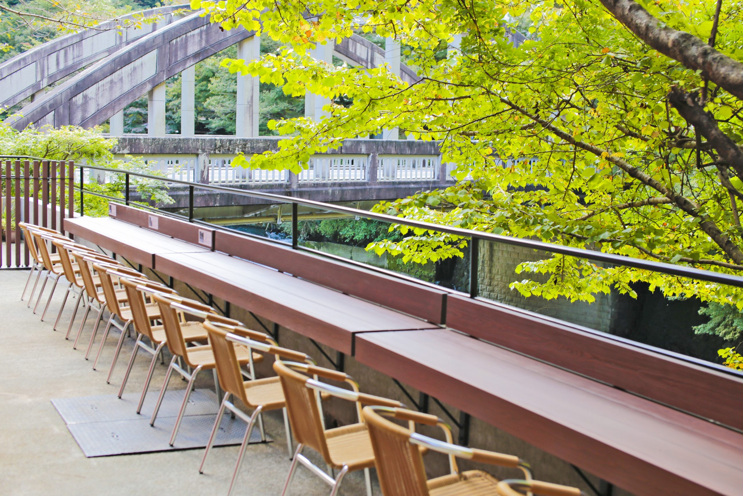 早川沿いの「YOURAKU TERRACE」では鯛ごはんのお弁当を食べられます