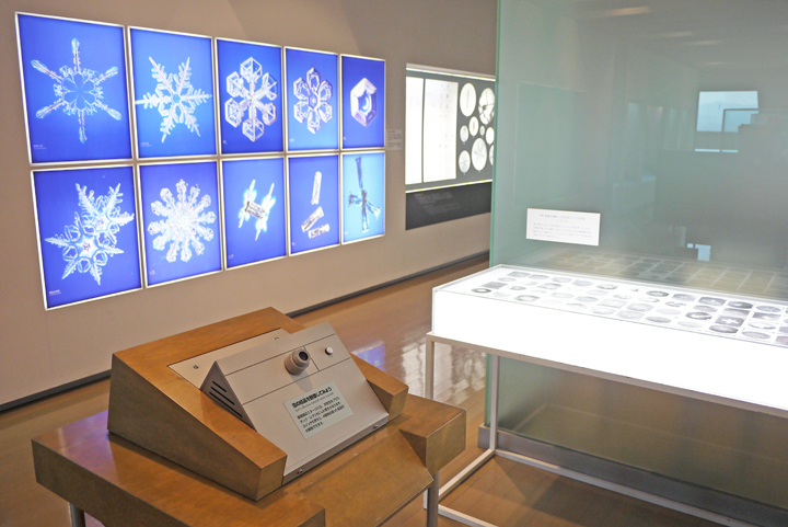 星状六花、扇型、ツヅミ型などと、雪の結晶の分類を分かりやすく展示