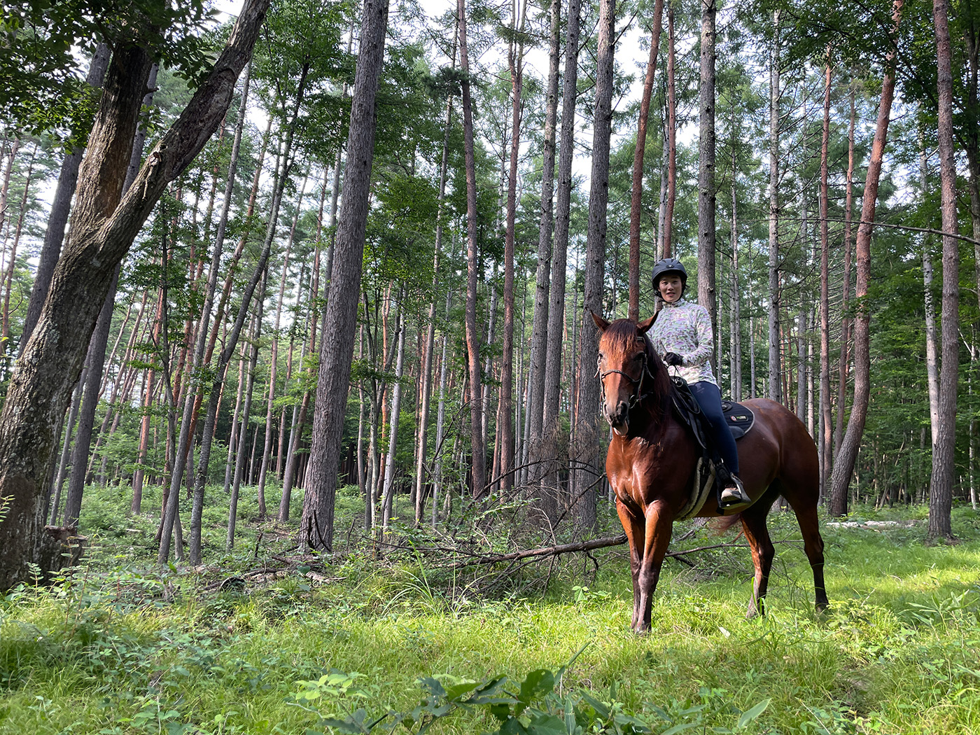 いつもと違う目線で、森を散歩