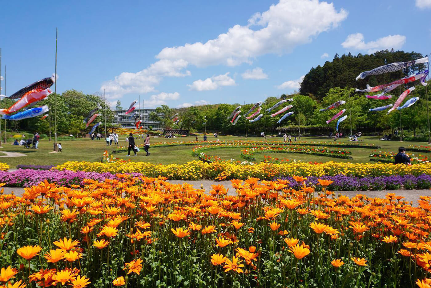 花に囲まれてピクニックやボール遊びができる「芝生広場」