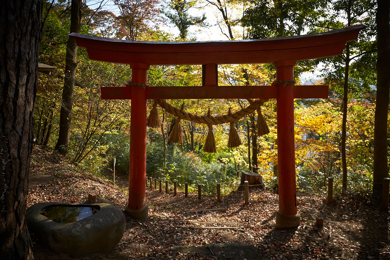松本城主が代々、社殿の維持管理に努めた天満宮。赤い鳥居と黄色に色づく木々の鮮やかな対比も美しい
