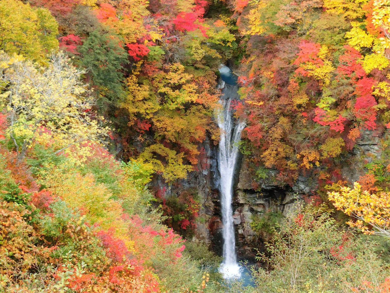 色とりどりの木々の間を勢いよく流れる駒止の滝。以前は御用邸用地の一部だったため「幻の滝」と呼ばれていた