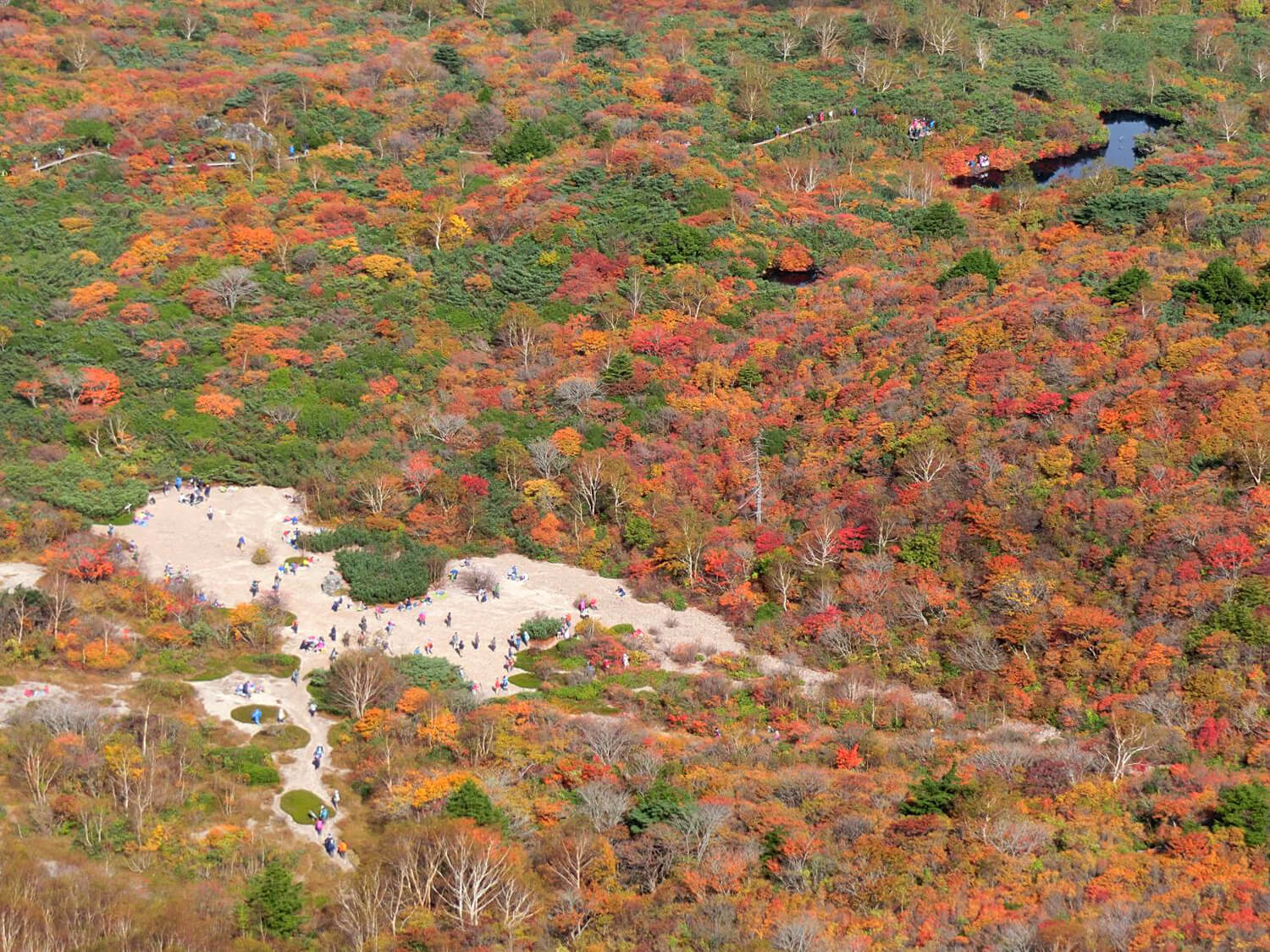 牛ヶ首から見た姥ヶ平の紅葉。モクモクと煙が上がる茶臼岳と紅葉の組み合わせを見ることができるのも姥ヶ平
