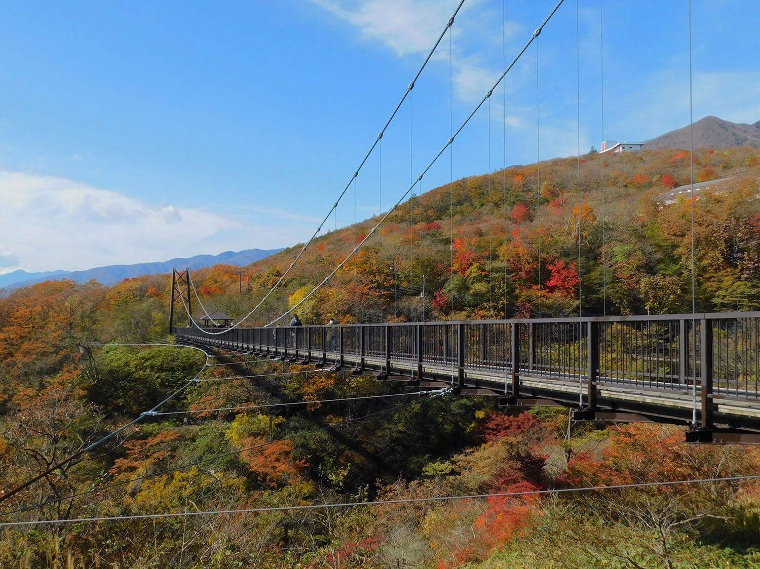 茶臼山から流れる苦戸（にがと）川に架かる橋。赤や黄色に染まった谷間の紅葉を楽しめる
