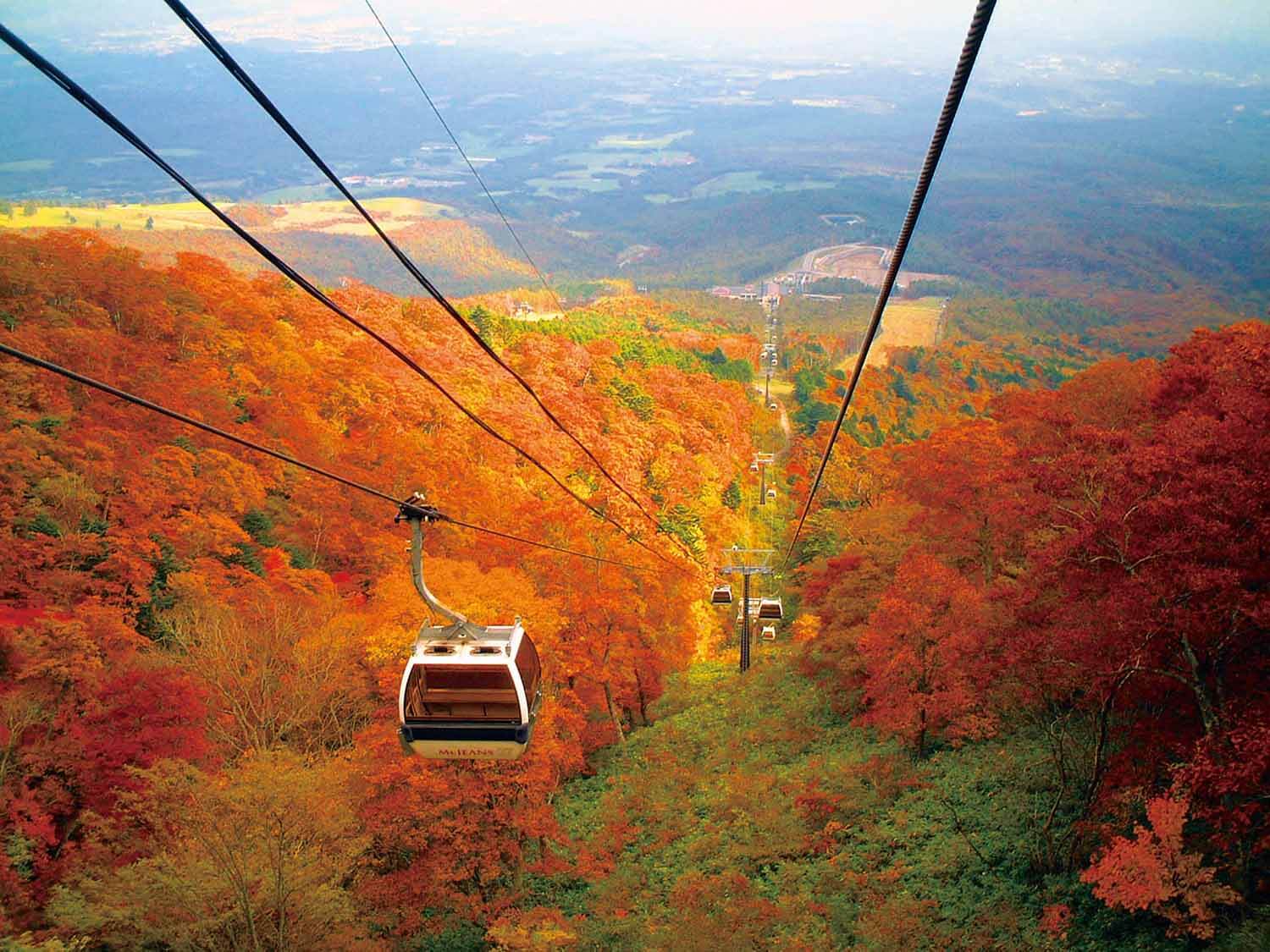 日本有数といわれている那須連山の紅葉。ゴンドラは8名乗りですが現在はグループごとに乗車が可能