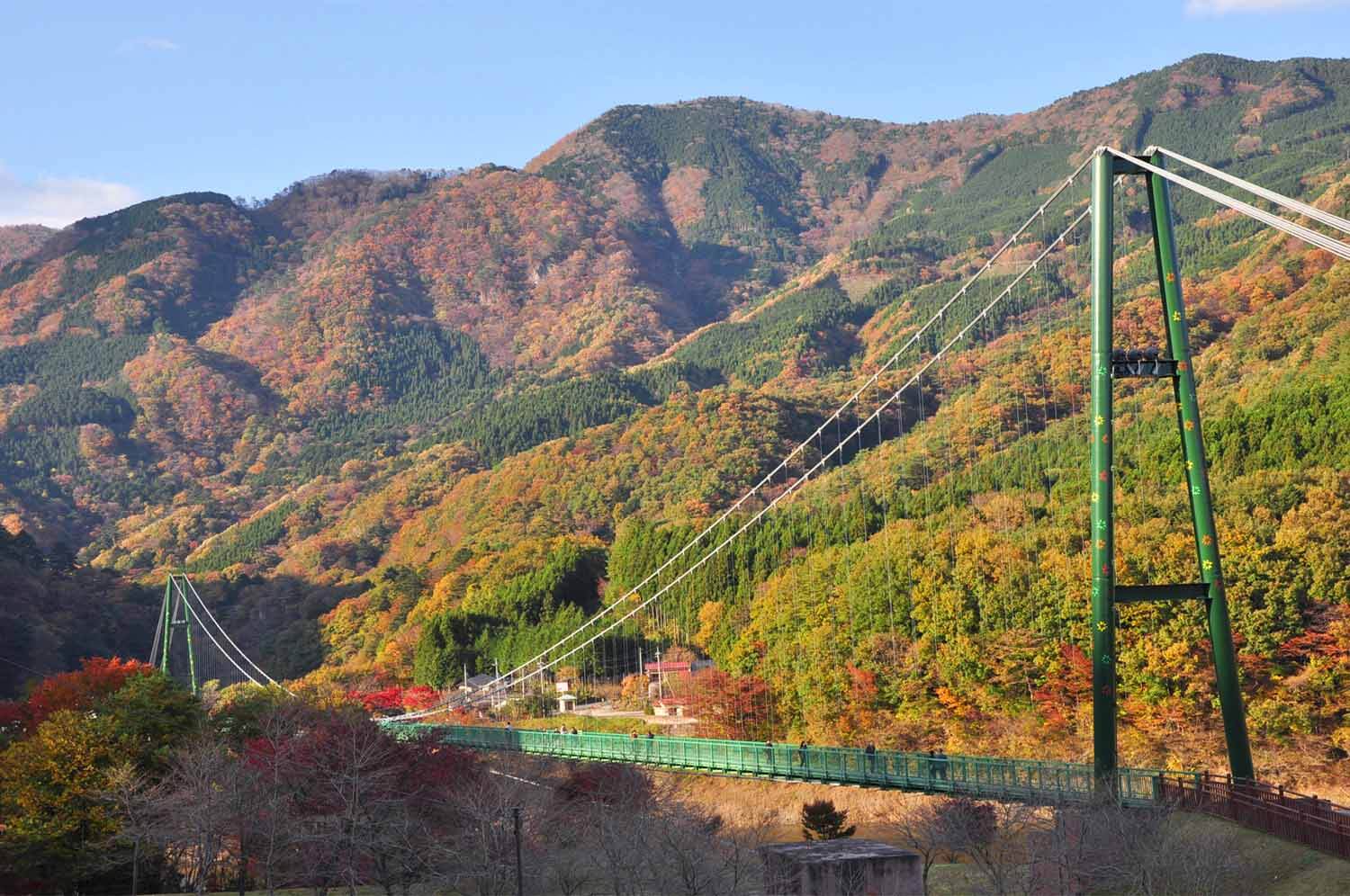ワイヤーで支える無補剛桁歩道吊橋としては本州最大級の規模を誇る