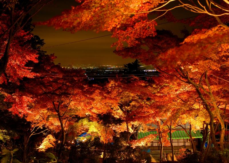 山頂からはつくば市が一望できる。天気が良ければ東京スカイツリーや富士山を望むことも