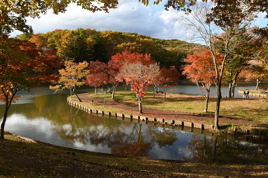 秋には公園全体が色づき、湖には色とりどりの木々が映る