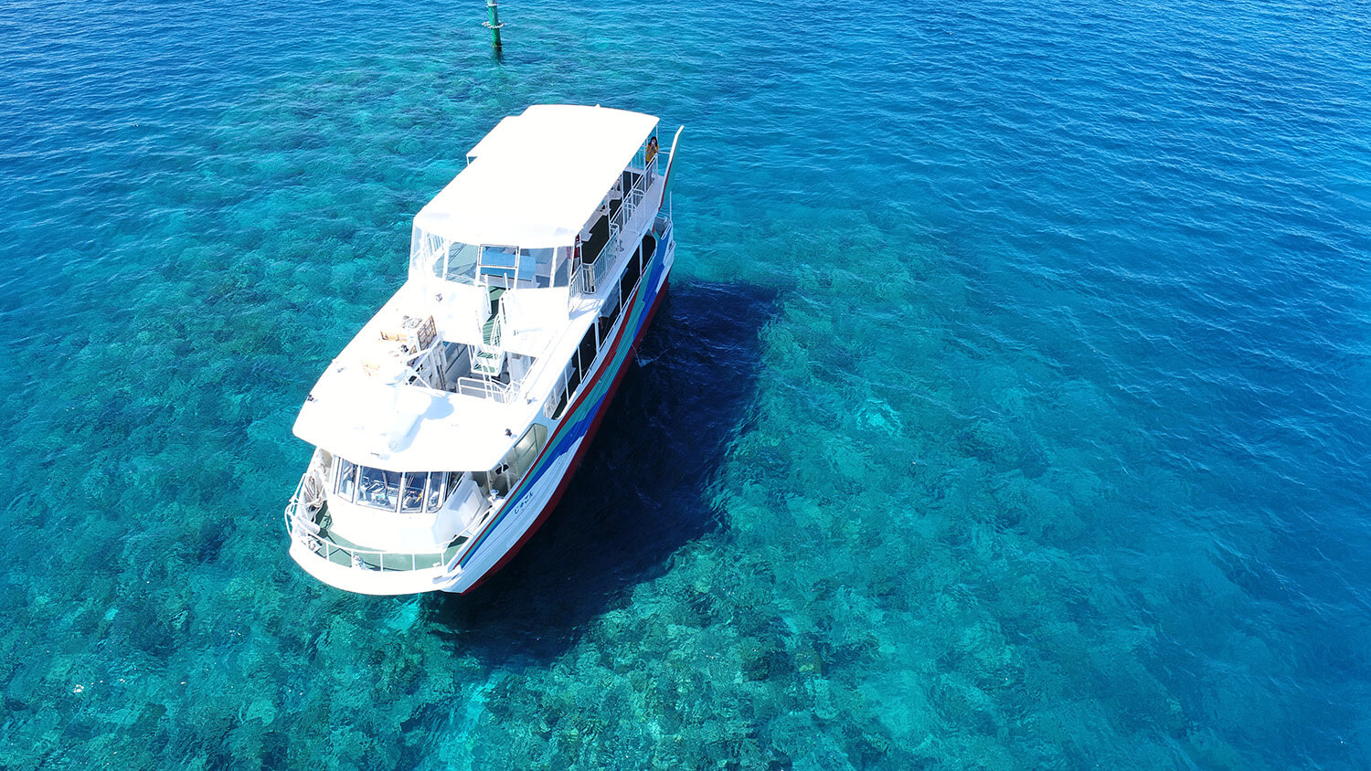 珊瑚や熱帯魚が楽しめる水中観光船