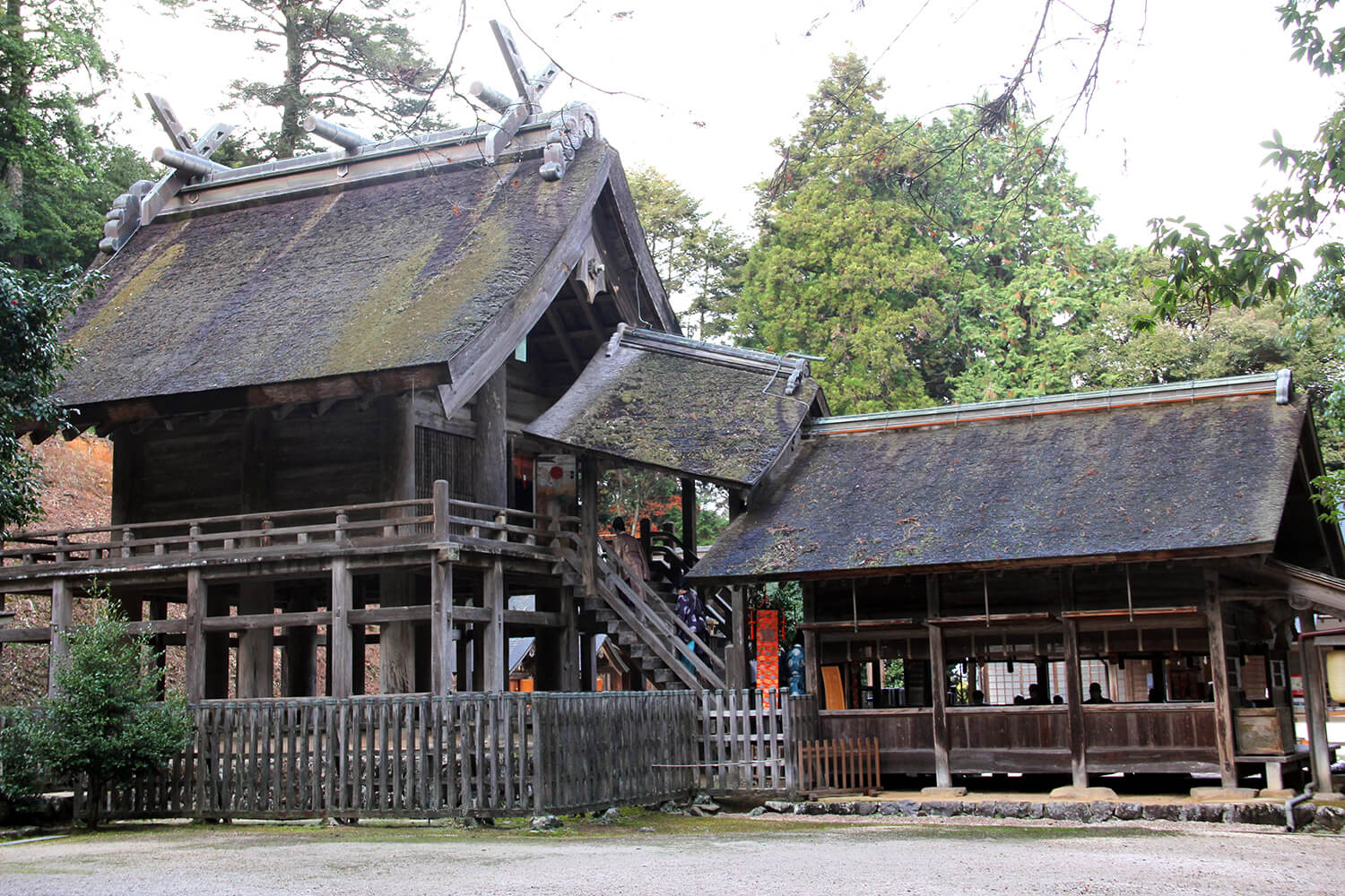 太い柱、高い床下、外側に飛び出した棟持ち柱など、日本最古の大社造の特徴が随所に見受けられる
