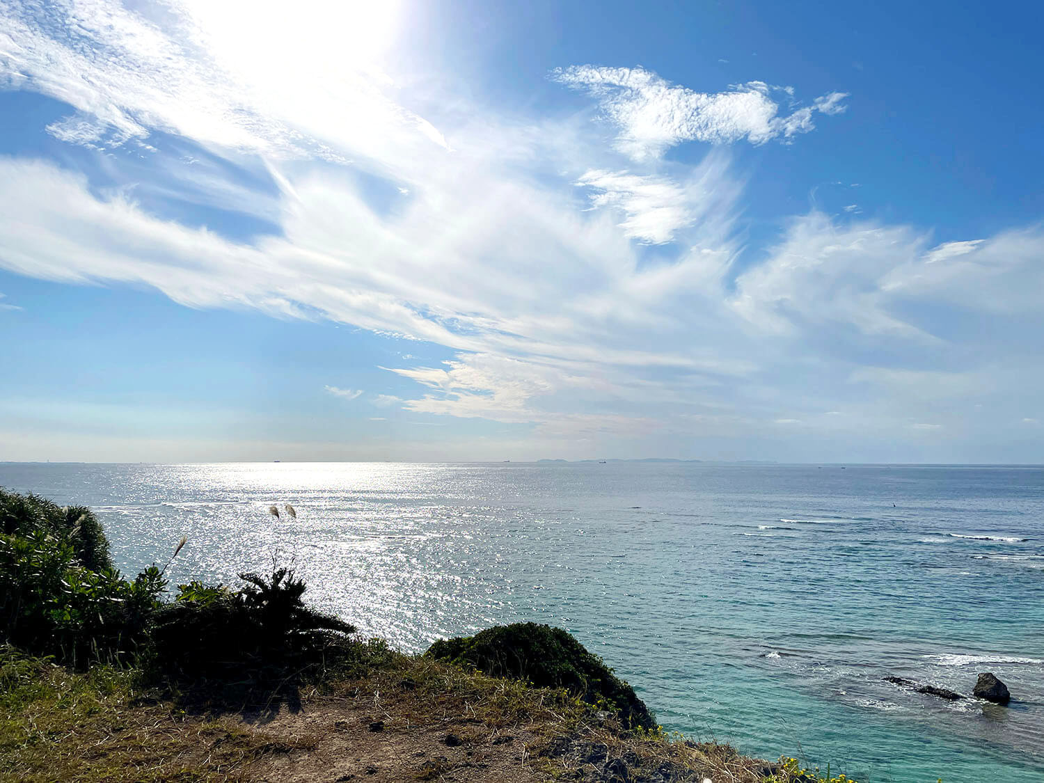 原っぱからは、沖縄らしい青々とした海が一望できる
