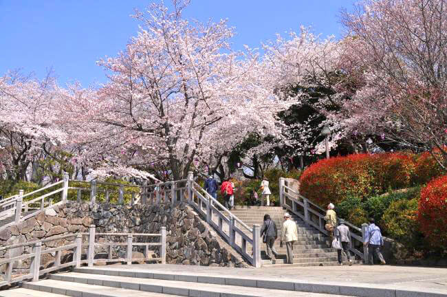 8代将軍徳川吉宗がこの地を桜の名所に指定