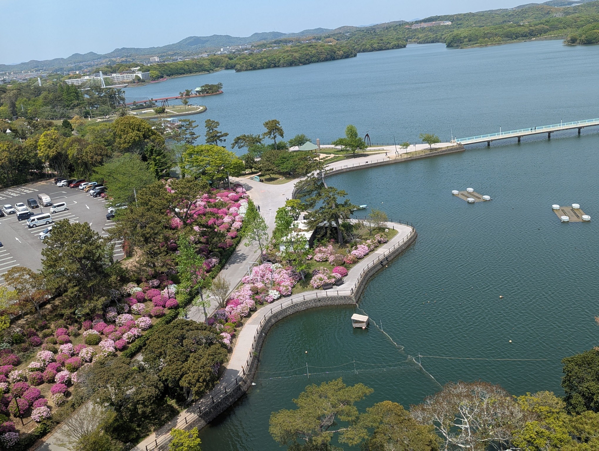 東京ドーム40個分の広大な敷地が人工湖「常盤湖」を中心に広がる「ときわ公園」。季節の花々も見どころの一つ