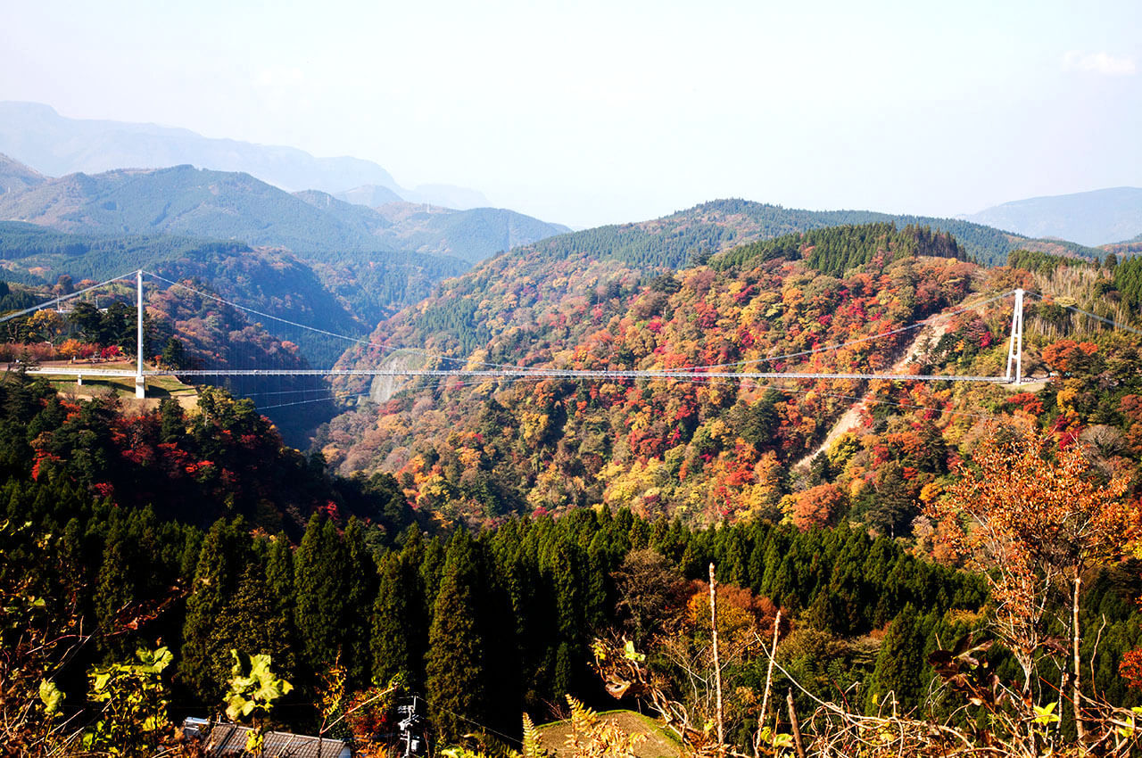 秋は眼下に見える景色が丸ごと紅葉に包まれる大吊橋（写真提供：九重“夢”大吊橋管理センター）