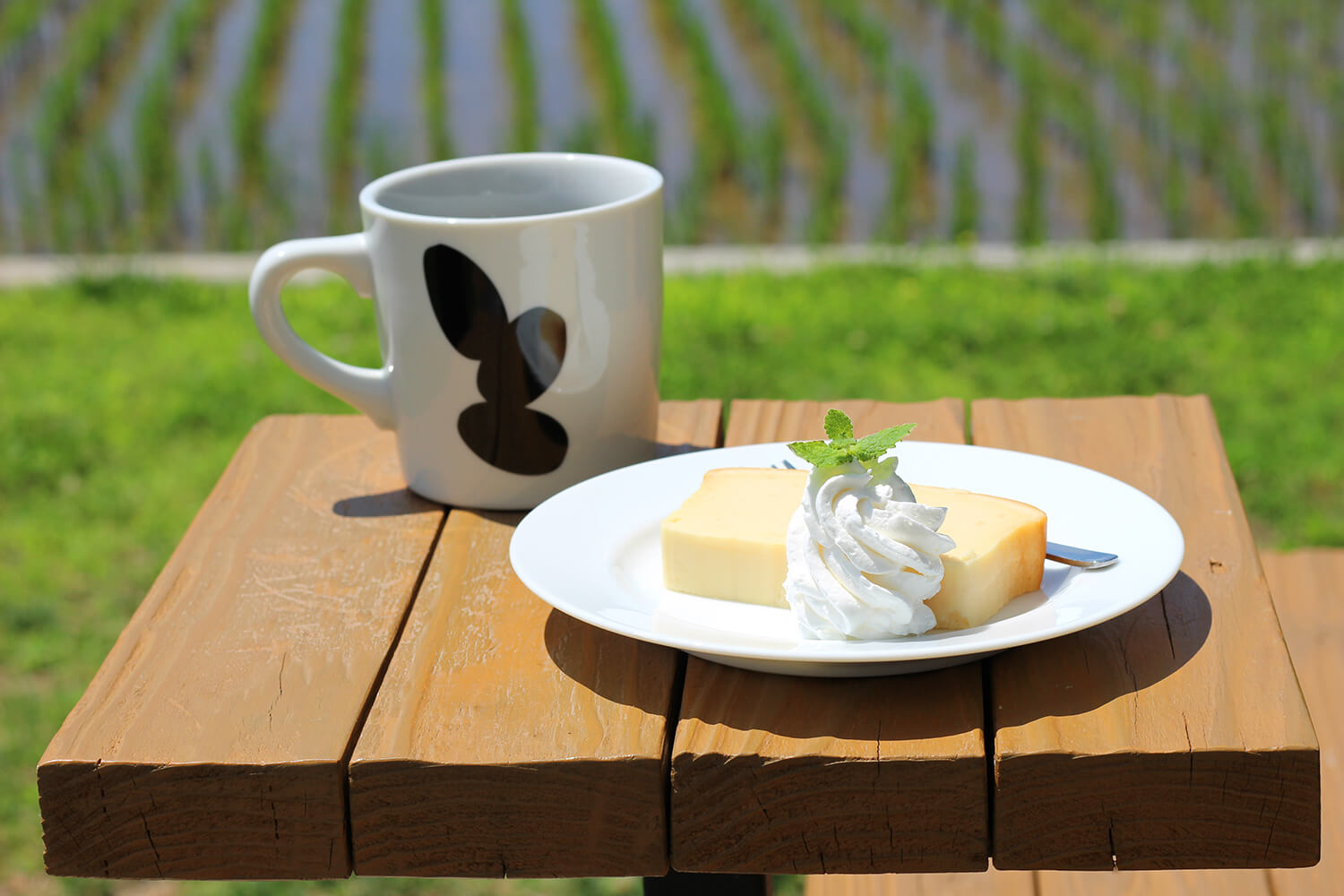 日本酒の仕込み水で淹れる「ブレンドコーヒー」（500円）と自家製の「酒粕チーズケーキ」（500円）