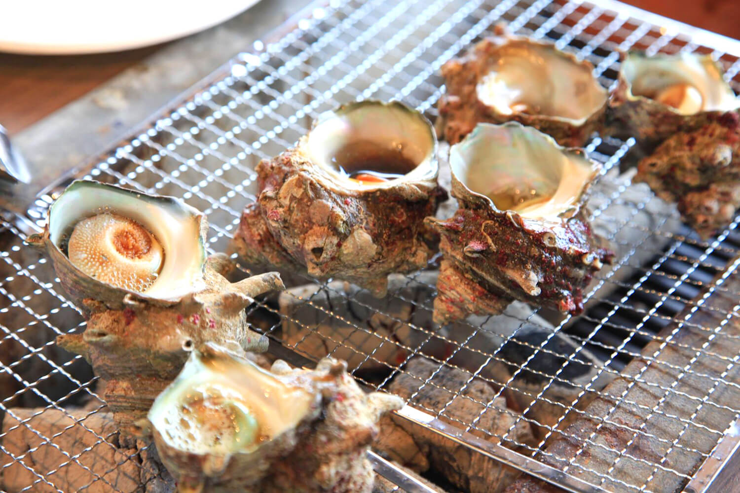 サザエ、アワビ、岩牡蠣など、貝類が特に人気