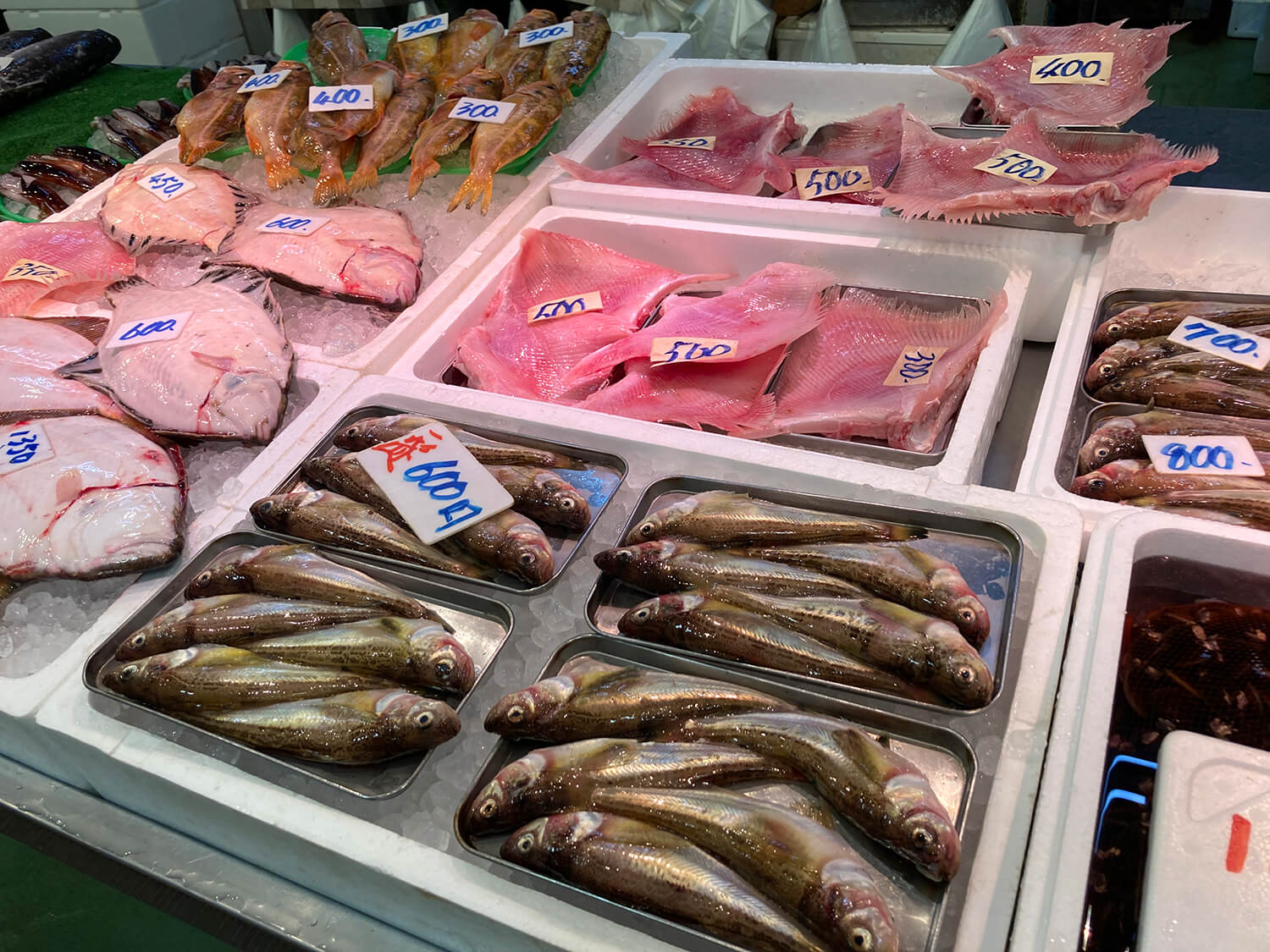 ハタハタ、カスベ、ヤナギノマイなど地元でおなじみの魚が並ぶ
