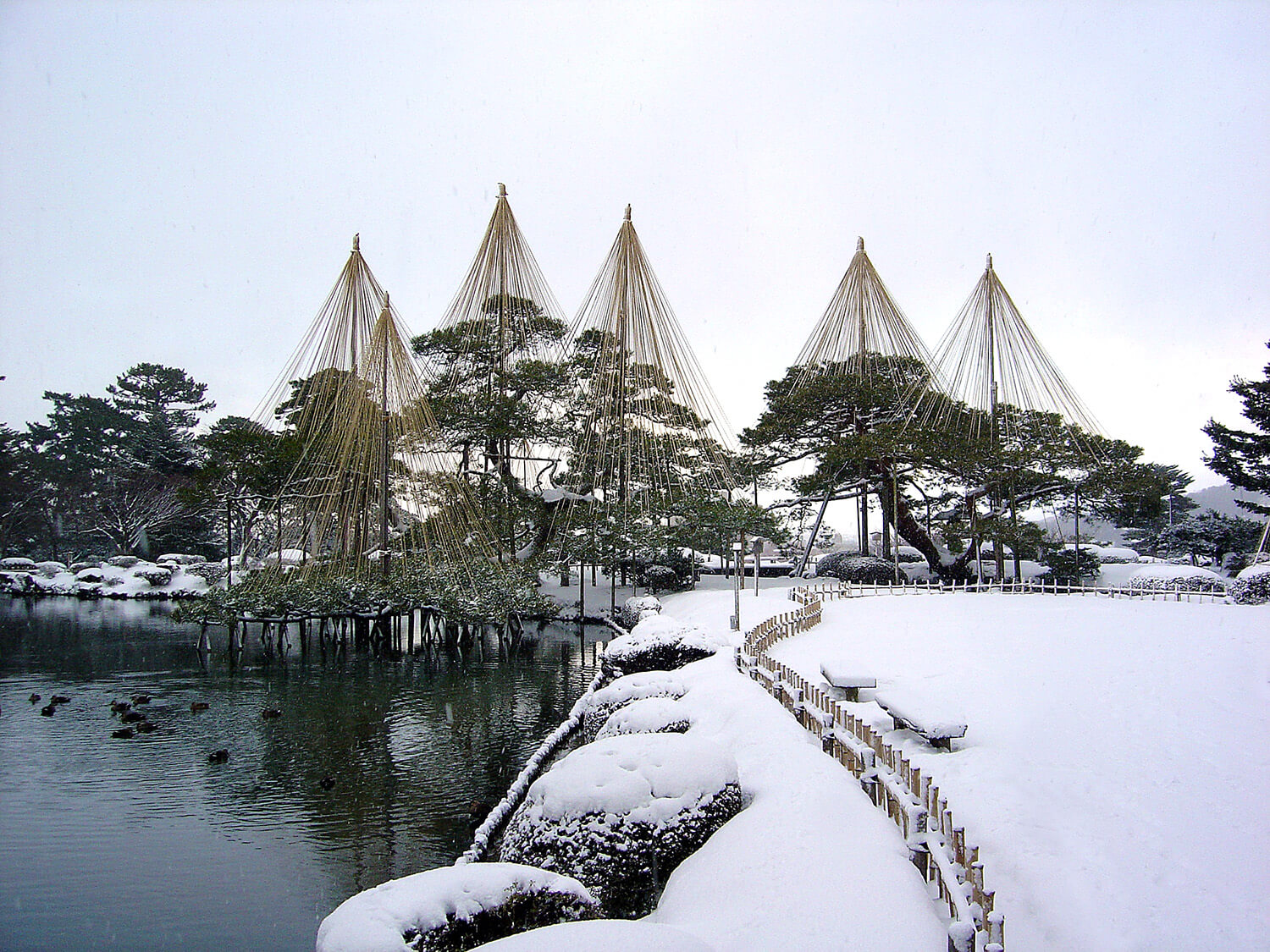 雪吊りと雪のコラボレーションが美しい、兼六園の冬景色（画像提供：石川県）