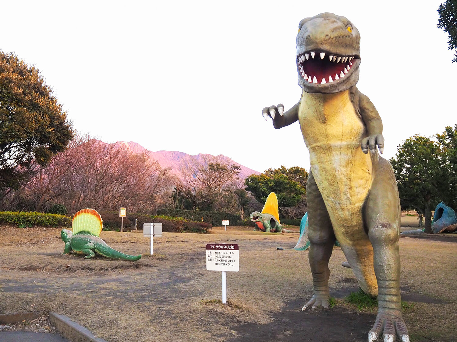 桜島を目の前に遊べる自然豊かな公園