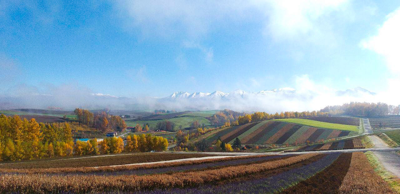 アースカラーの大地と黄金色のカラマツ、冠雪した十勝岳が季節の移ろいを描き出す「四季彩の丘」