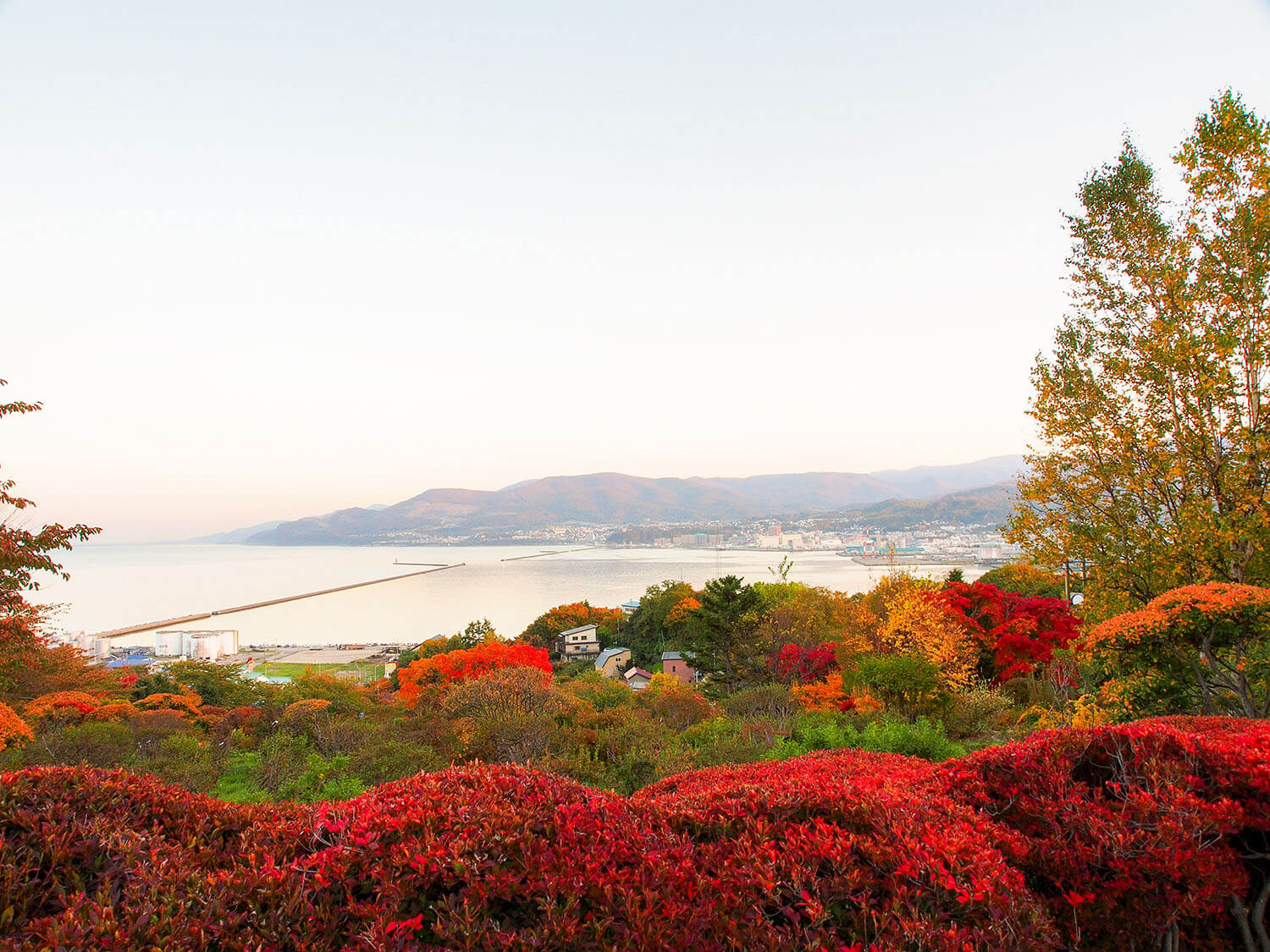 手宮公園内にある「手宮緑化植物園」は小樽市重要眺望地点に指定されている絶景スポット