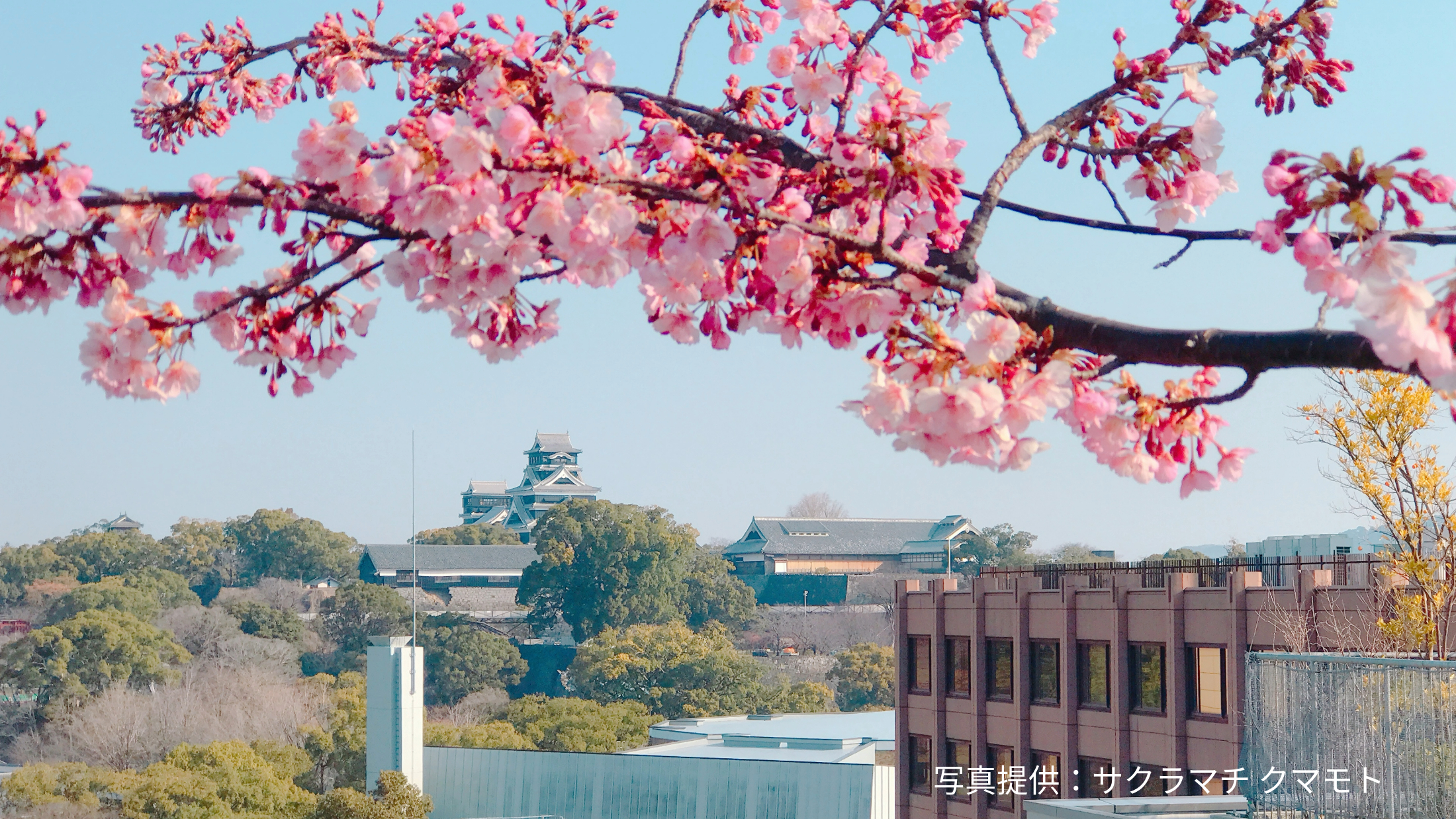 熊本地名研究会編著 くまもと城下の地名 本 Amazon.co.jp: くまもと城下の地名 (熊日新書) : 鈴木喬(1920