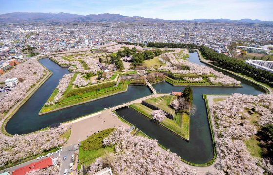 【2024年版】北海道の桜は5月まで楽しめる！北海道4エリアのお花見名所13選