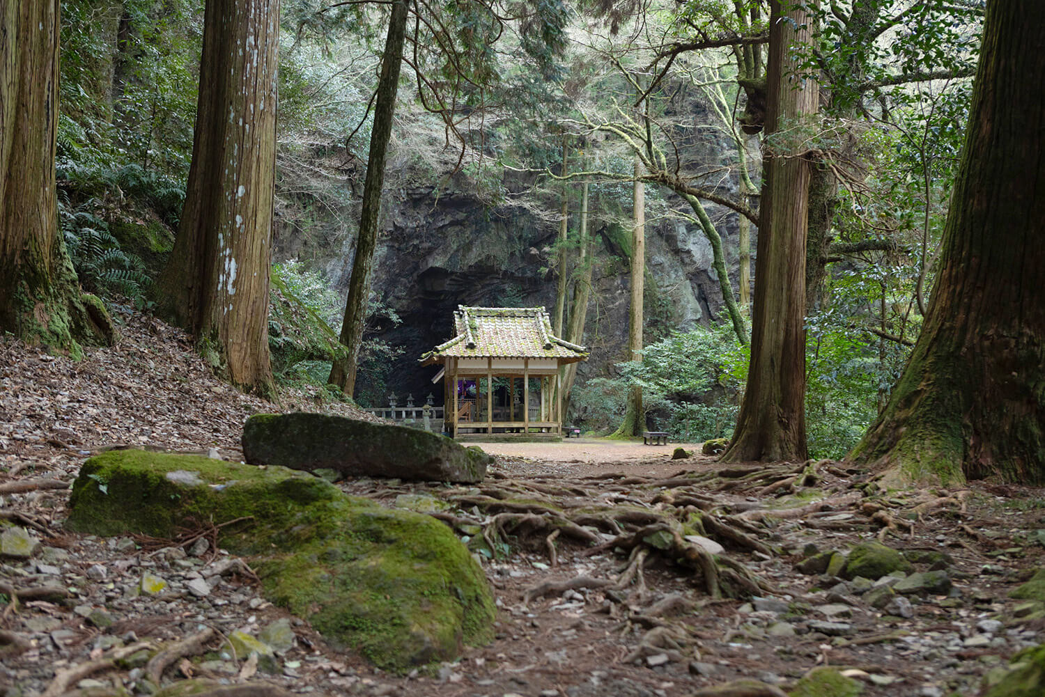 一の鳥居から、静寂に包まれた森の参道を約300m進むと、大きな岩が出現。正面の建物の奥に本殿がある