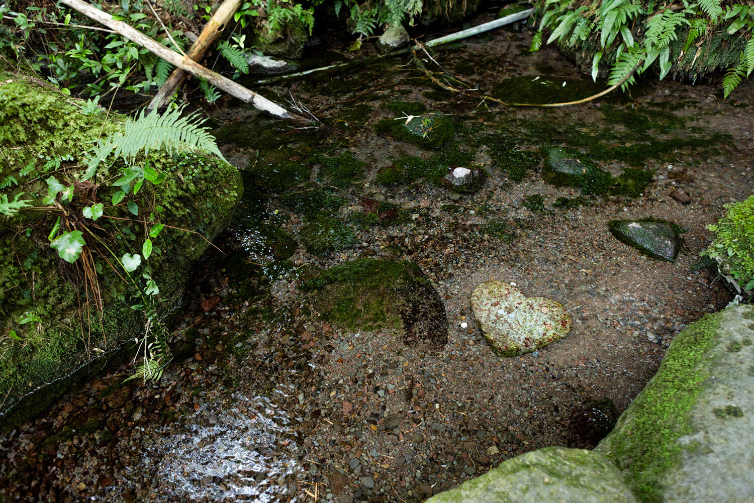 「岩戸水神」の水汲み場。水を汲む際は、おさい銭を入れることをお忘れなく。川底にはハート型の石も