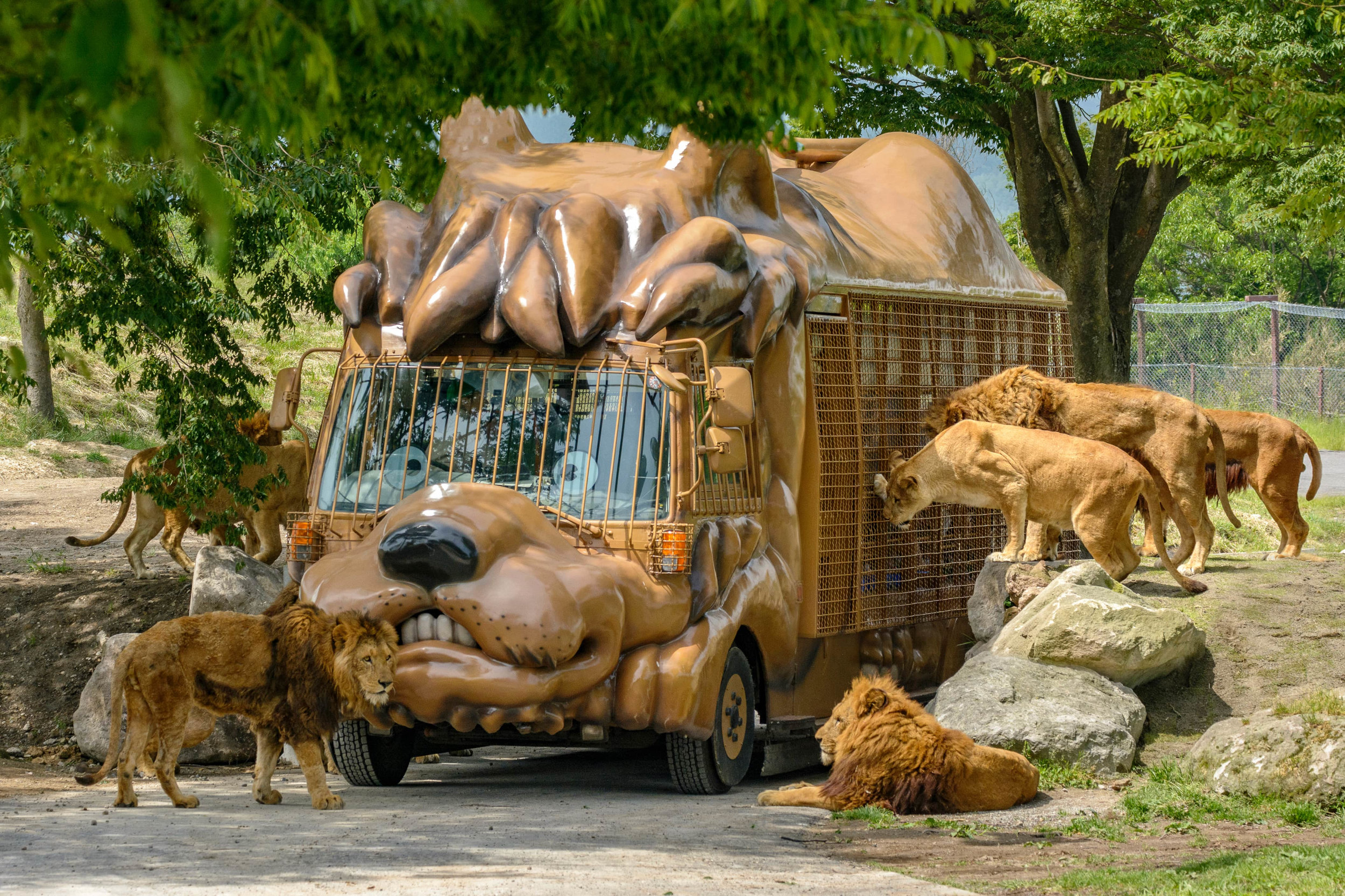 トラやゾウ、サイなど約10種類のデザインがあるジャングルバス。自家用車でも「動物ゾーン」を周遊可能