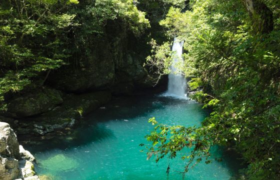 自然も歴史も大満喫できる、高知のおすすめ観光スポット