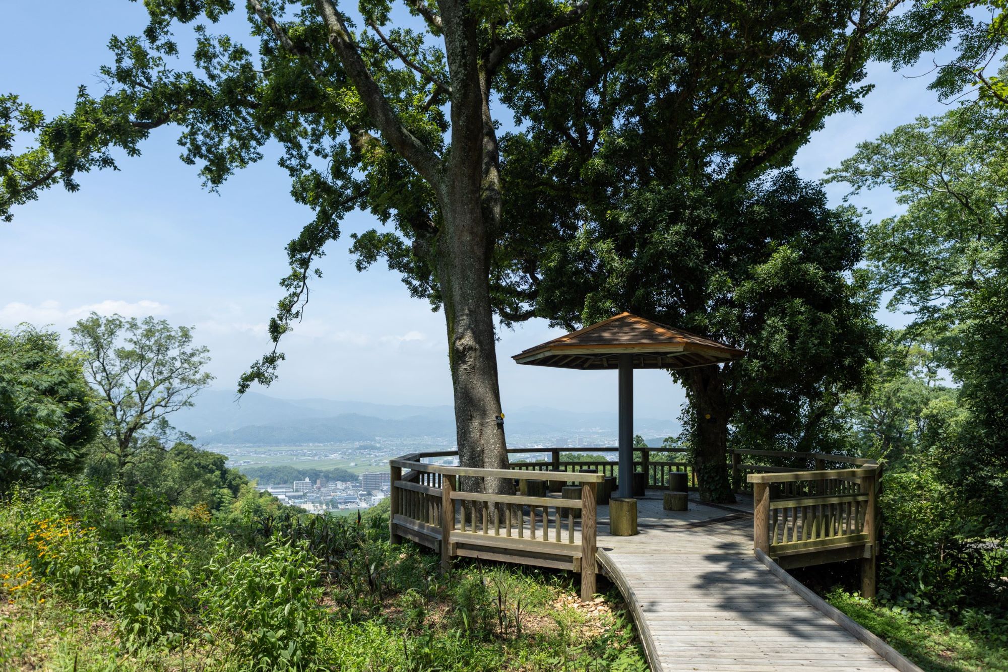 植物園のある場所は、高知市街地からほど近い五台山の山頂付近。「こんこん山広場」からは市街地を一望できる