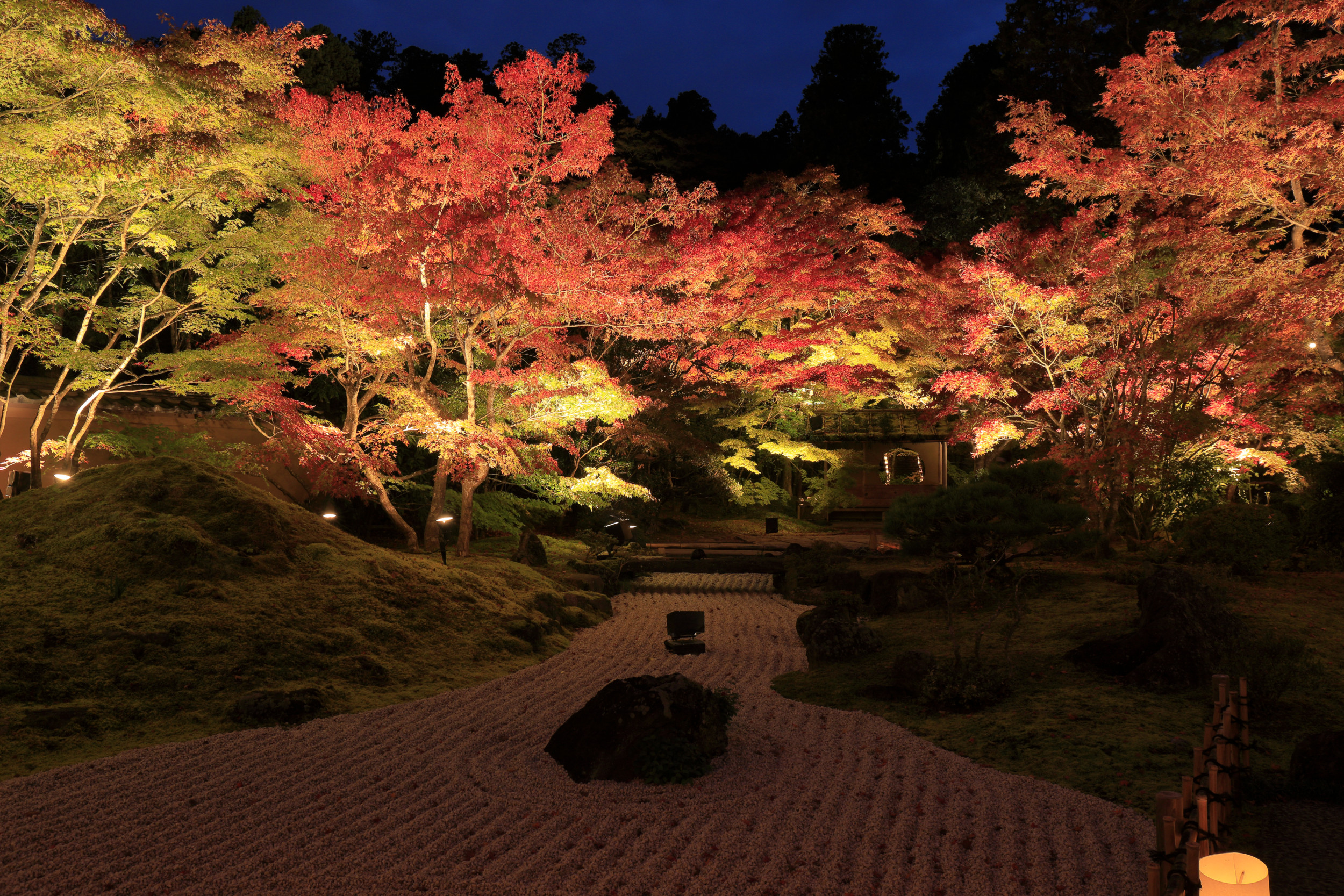 円通院の幻想的な紅葉ライトアップ風景（画像提供：足利裕紀）
