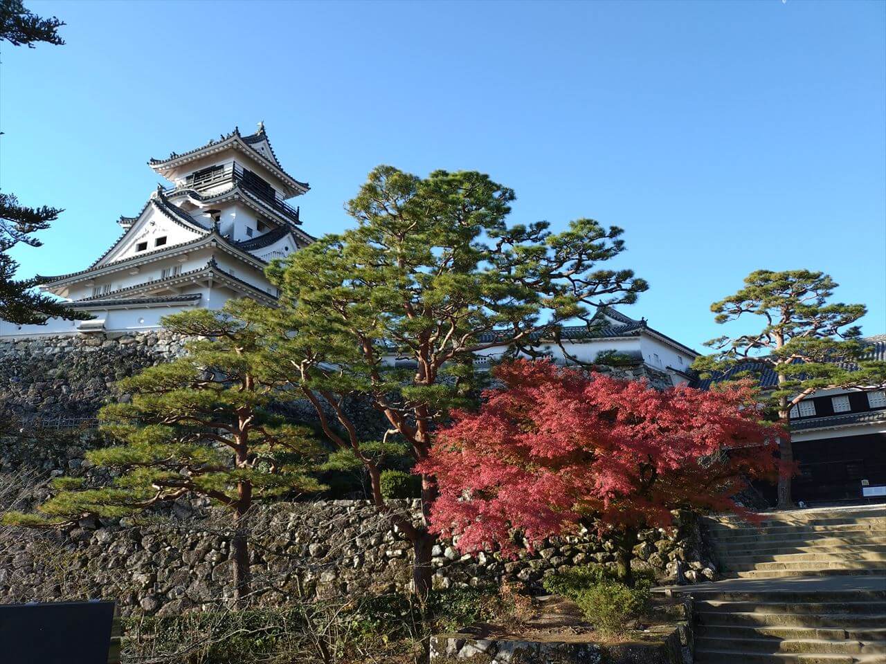 鉄門跡から望む天守と紅葉。高知城は本丸がほぼ完全な形で現存している唯一の城